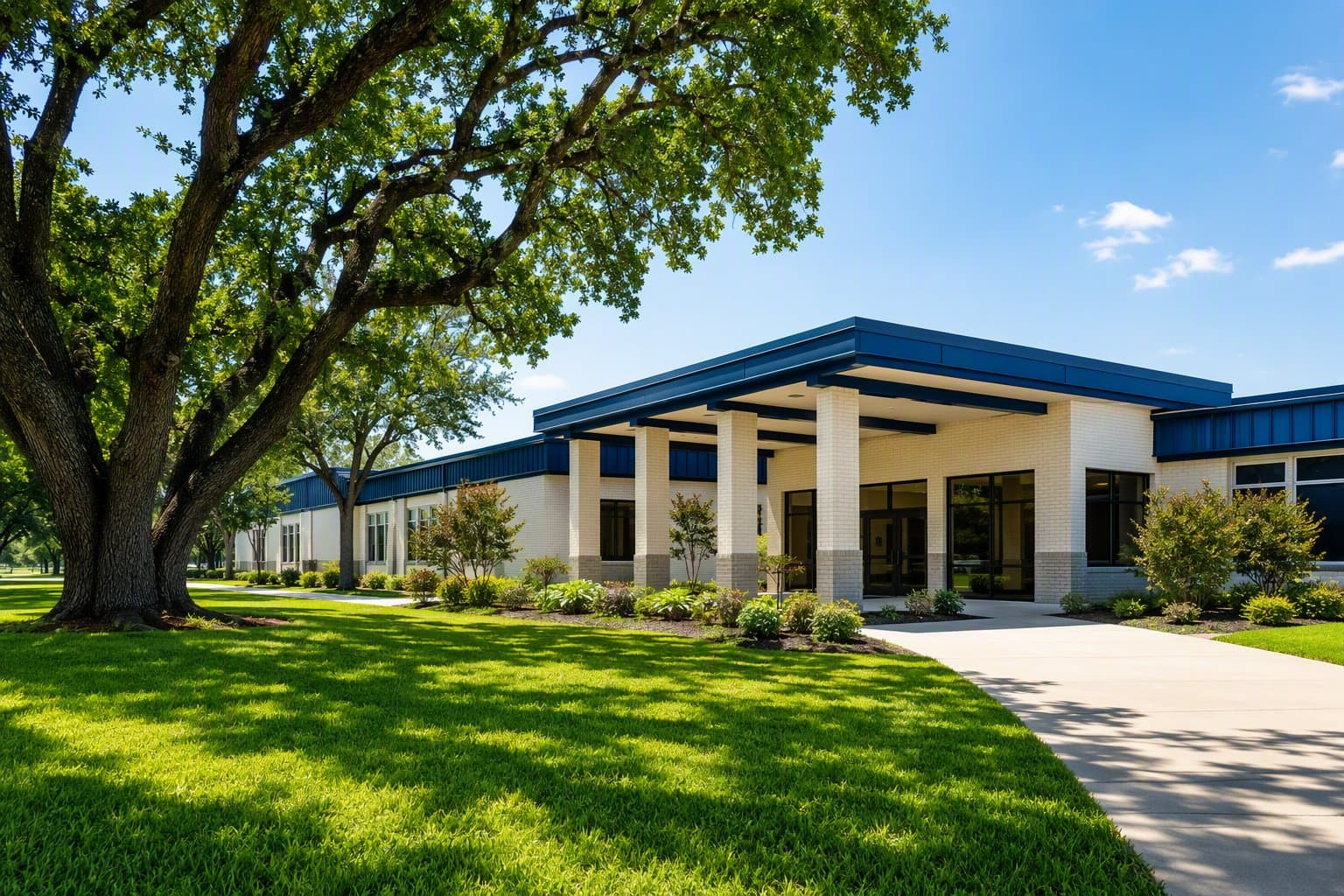 Van Alstyne school campus - illustration, Jake Team LLC