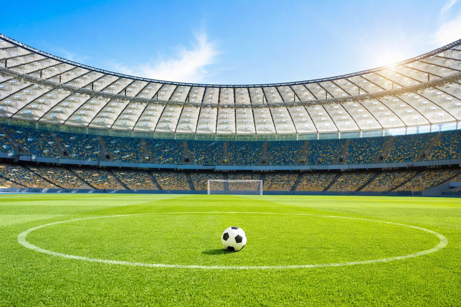 Soccer Victory - illustration, Jake Team LLC